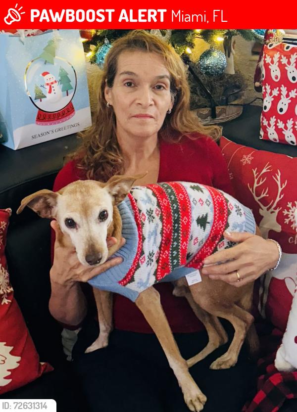 Lost Male Dog last seen Near sw 186th street (Quail Roost Park), Miami, FL 33157