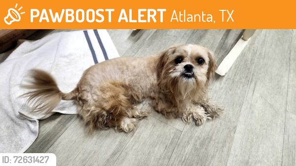 Found/Stray Female Dog last seen Down the road from city park , Atlanta, TX 75551