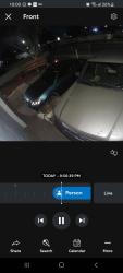 Found/Stray Unknown Dog last seen Hanover n coors, Edison, NJ 08820