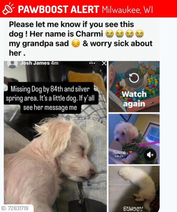 Lost Female Dog last seen 84th Silvet Spring, Milwaukee, WI 53218