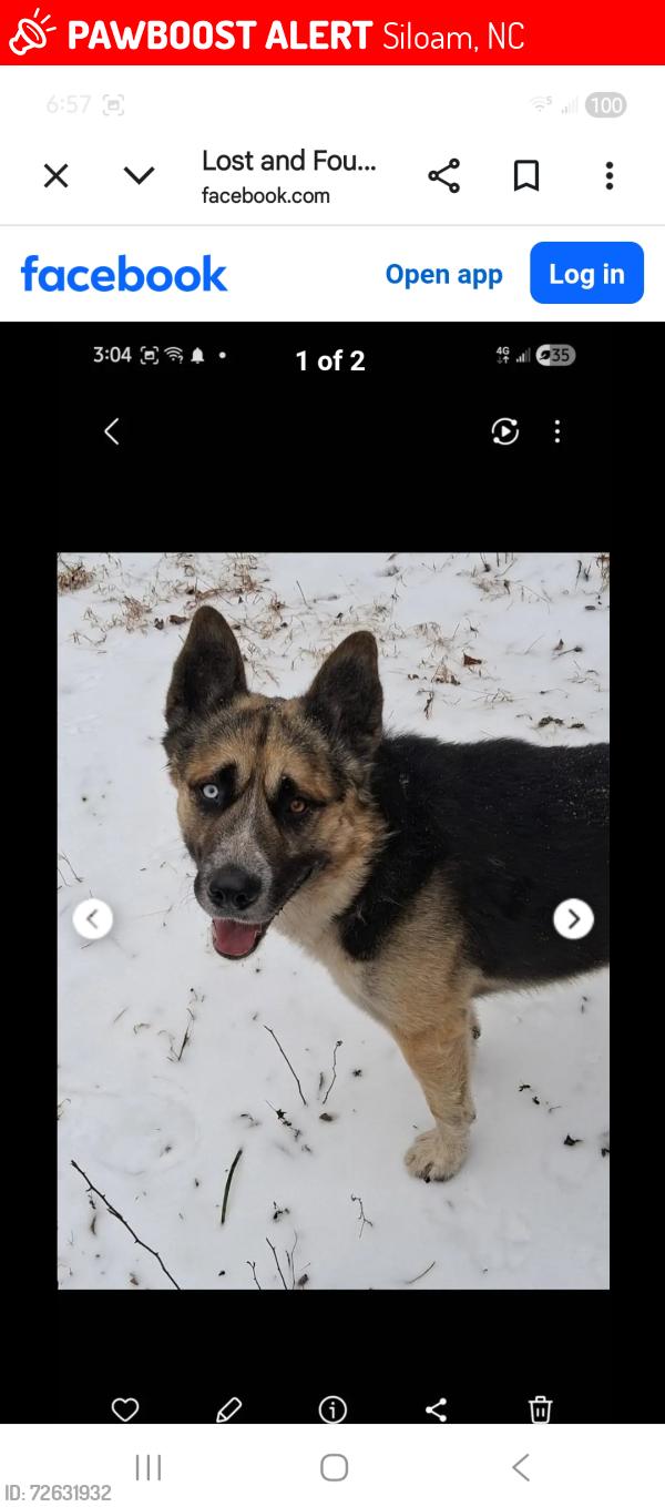 Lost Male Dog last seen Ararat River on Hwy 268, Siloam, NC 27047