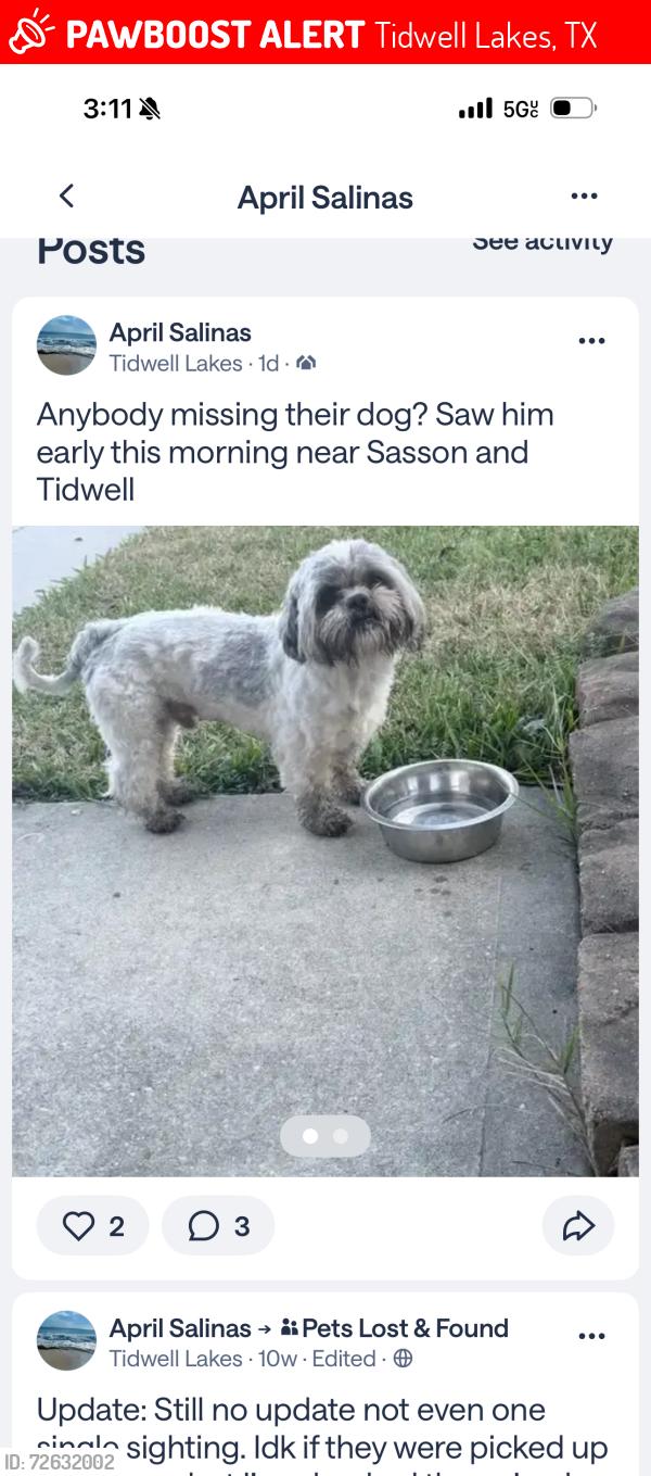 Lost Male Dog last seen Tidwell lakes , Tidwell Lakes, TX 77044