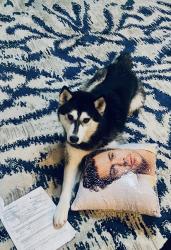 Reunited Female Dog last seen Howells ferry rd near fire tower rd, Semmes, AL 36575