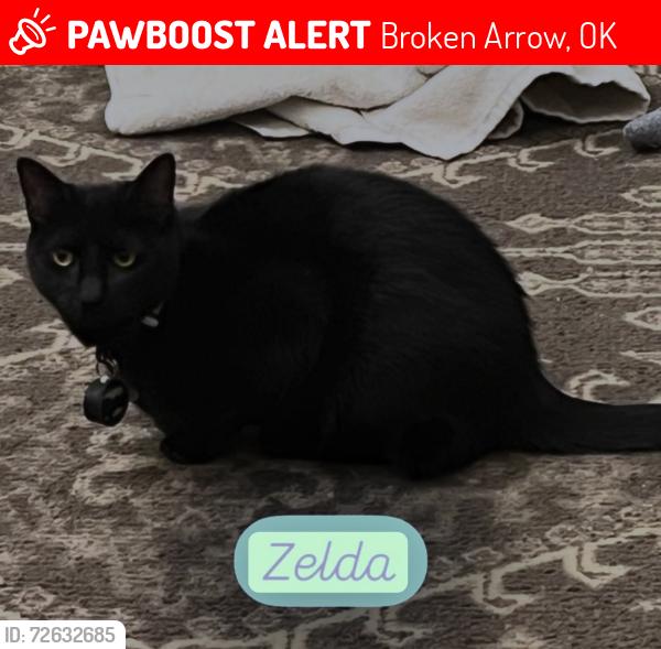 Lost Female Cat last seen Near old bail bonds place in woods, Broken Arrow, OK 74012