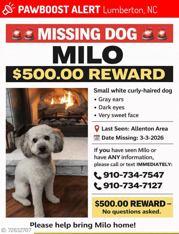 Lost Male Dog last seen Allenton Road, Long Road, Old Allenton Road, Lamb Road, East Robeson Primary School, Singletary Baptist Church, Lumberton, NC 28358