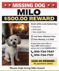 Lost Male Dog last seen Allenton Road, Long Road, Old Allenton Road, Lamb Road, East Robeson Primary School, Singletary Baptist Church, Lumberton, NC 28358
