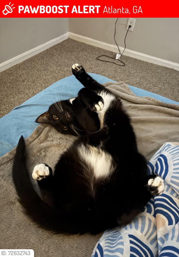 Lost Male Cat last seen riverdale rd and garden walk blvd, Atlanta, GA 30349