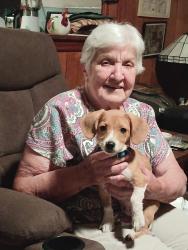 Lost Male Dog last seen State barn rd and Dahlonega hwy, Cumming, GA 30040