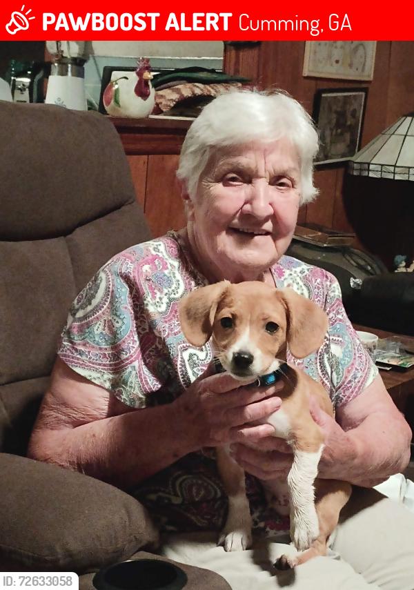 Lost Male Dog last seen State barn rd and Dahlonega hwy, Cumming, GA 30040