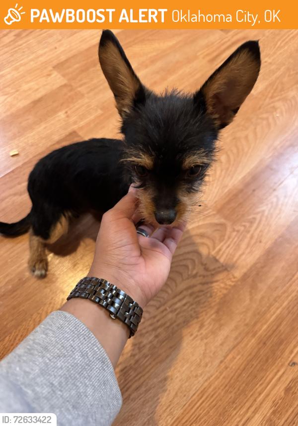 Found/Stray Male Dog last seen s Byers and SE 24th St, Oklahoma City, OK 73129
