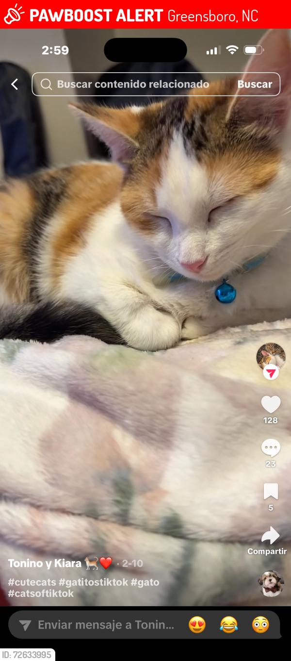 Lost Unknown Cat last seen Near Immanuel rd, Greensboro, NC 27407