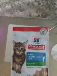Lost Female Cat last seen Elizabeth st, Surry Hills, NSW 2010