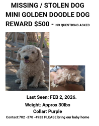 Lost Male Dog last seen Senior Center / Water park, Las Vegas, NV 89101