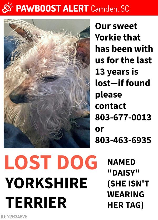 Lost Female Dog last seen Near the hosp on Haile St in Camden SC, Camden, SC 29020