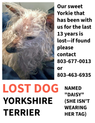 Lost Female Dog last seen Near the hosp on Haile St in Camden SC, Camden, SC 29020