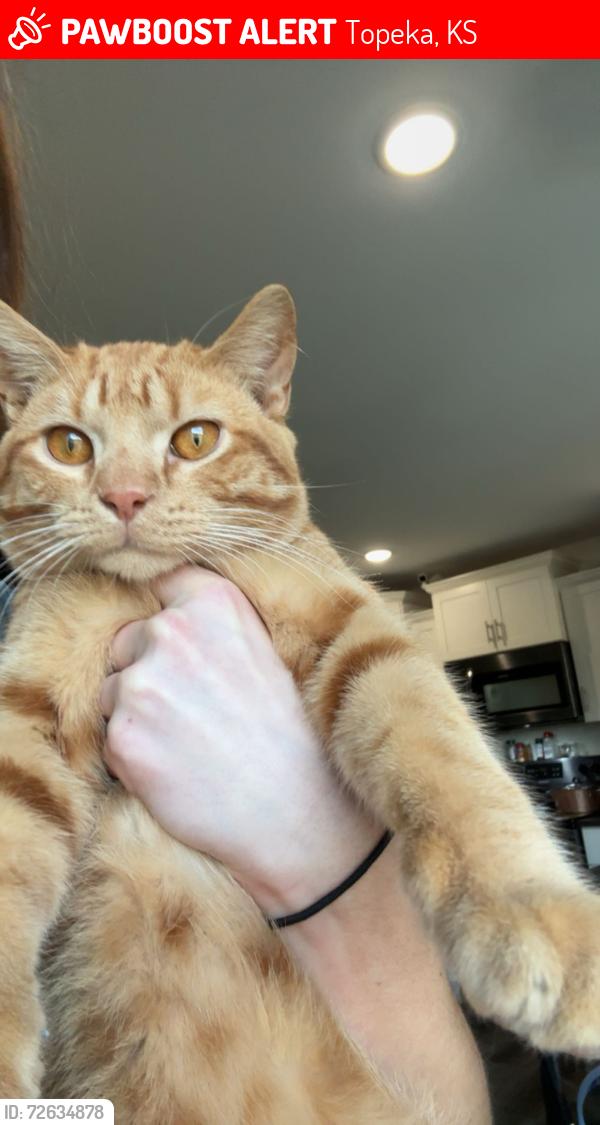 Lost Male Cat last seen 46th Street and Meriden rd , Topeka, KS 66617
