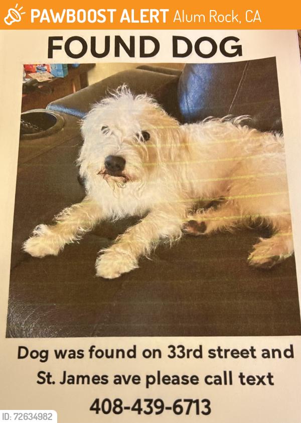 Found/Stray Unknown Dog last seen N 33rd St, Alum Rock, CA 95127