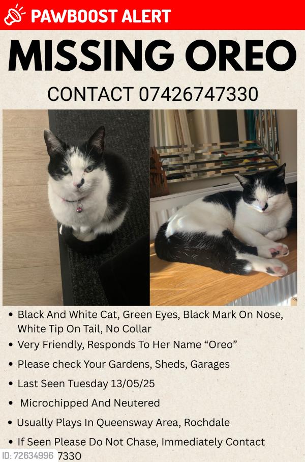 Lost Female Cat last seen ol11 1tw rochdale queensway area, Greater Manchester, England OL11 1TW