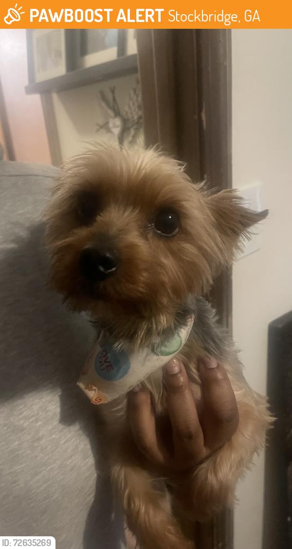 Found/Stray Male Dog last seen Hudson Bridge, Stockbridge, GA 30281