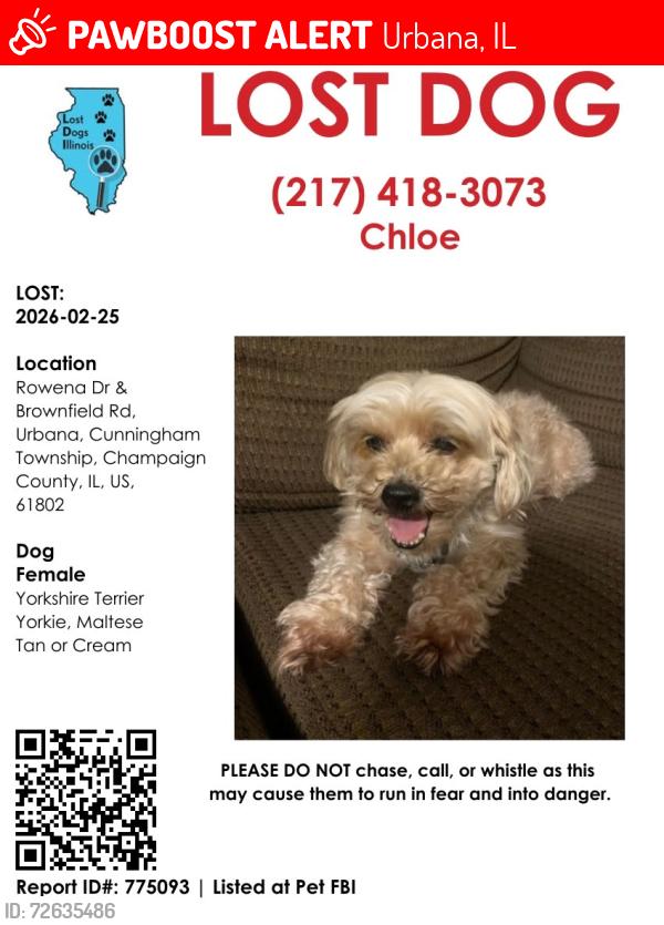 Lost Female Dog last seen Rowena and brownfield rd, Urbana IL, Urbana, IL 61802