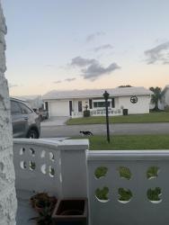 Found/Stray Unknown Cat last seen Palm Beach Leisureville, SW 18th Court, Boynton Beach FL, Boynton Beach, FL 33426