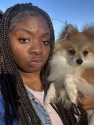 Lost Male Dog last seen Arbor st , Fort Worth, TX 76119
