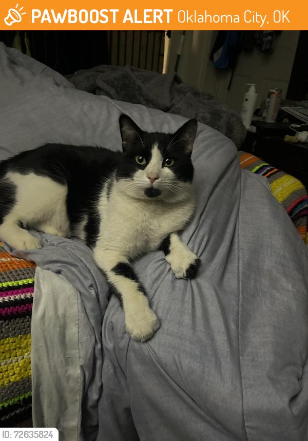 Found/Stray Male Cat last seen Amazon warehouse / Drivers bumper, Oklahoma City, OK 73149