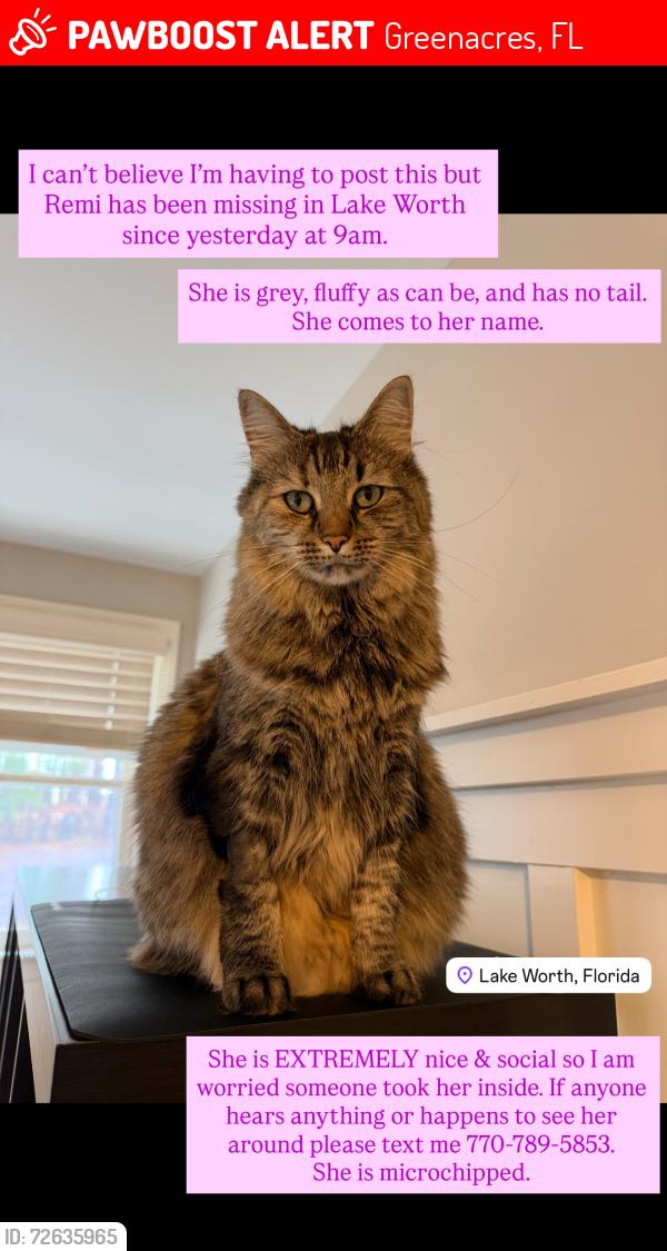 Lost Female Cat last seen The Fountains Country Club, Greenacres, FL 33467