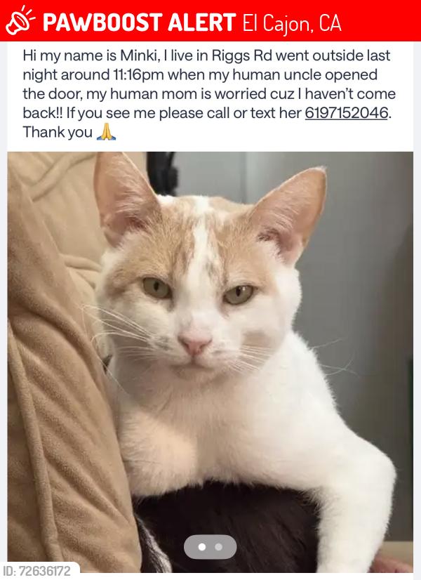Lost Male Cat last seen Sycuan, Dehesa Riggs Rd, El Cajon, CA 92019