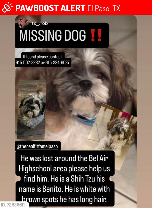 Lost Male Dog last seen Yarbrough , El Paso, TX 79998