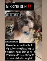 Lost Male Dog last seen Yarbrough , El Paso, TX 79998