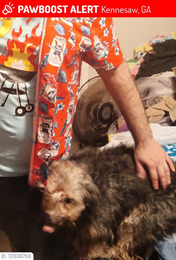 Lost Female Dog last seen Woodlands of Kennesaw and winkenhofer graveyard, Kennesaw, GA 30152
