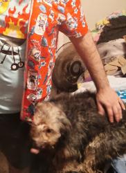 Lost Female Dog last seen Woodlands of Kennesaw and winkenhofer graveyard, Kennesaw, GA 30152
