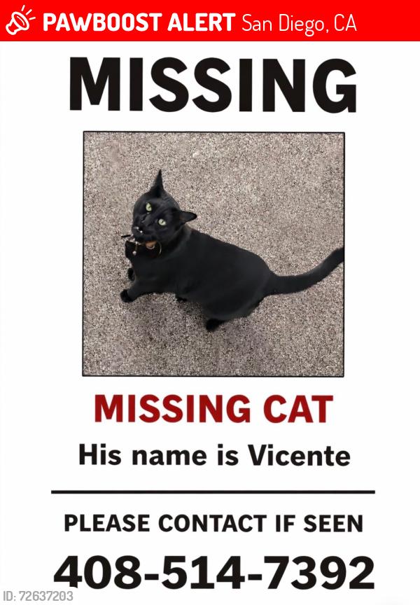 Lost Male Cat last seen Eldridge and Elgin , San Diego, CA 92120