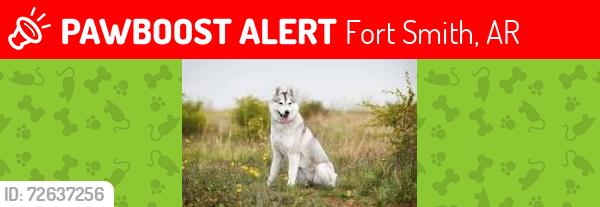 Lost Female Dog last seen Near Phoniex, Fort Smith, AR 72903