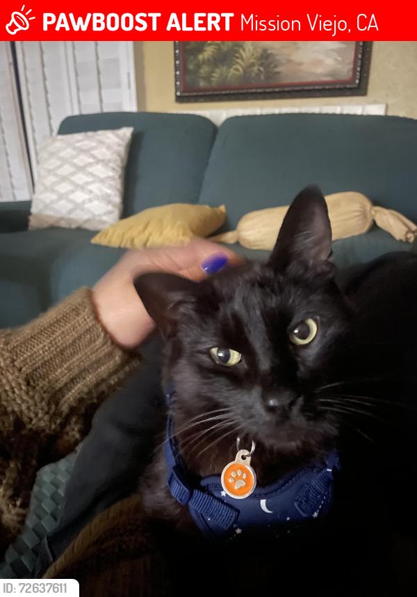Lost Male Cat last seen Marguerite/ La barca, Mission Viejo, CA 92692