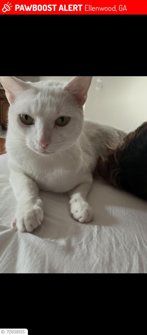 Lost Female Cat last seen ion street , Ellenwood, GA 30294