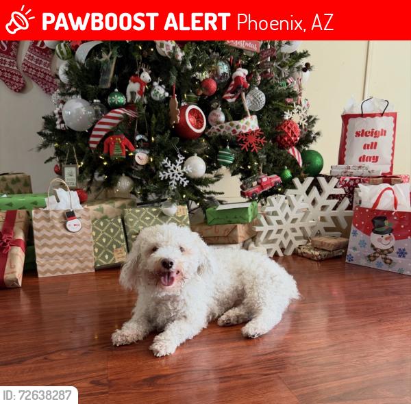 Lost Male Dog last seen 23rd Ave and Bethany , Phoenix, AZ 85015