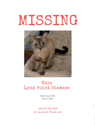 Lost Female Cat last seen Rosdale park, Chicago, Illinois , Chicago, IL 60631