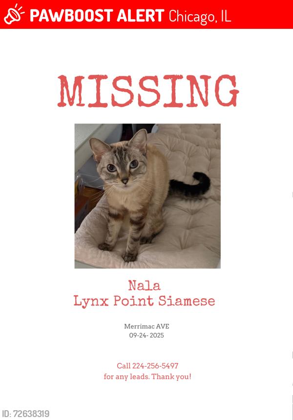 Lost Female Cat last seen Rosdale park, Chicago, Illinois , Chicago, IL 60631