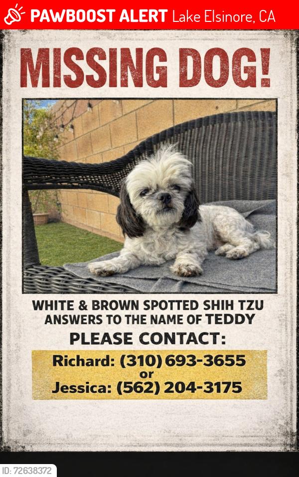 Lost Male Dog last seen Canyon hills road and diamond drive , Lake Elsinore, CA 92532