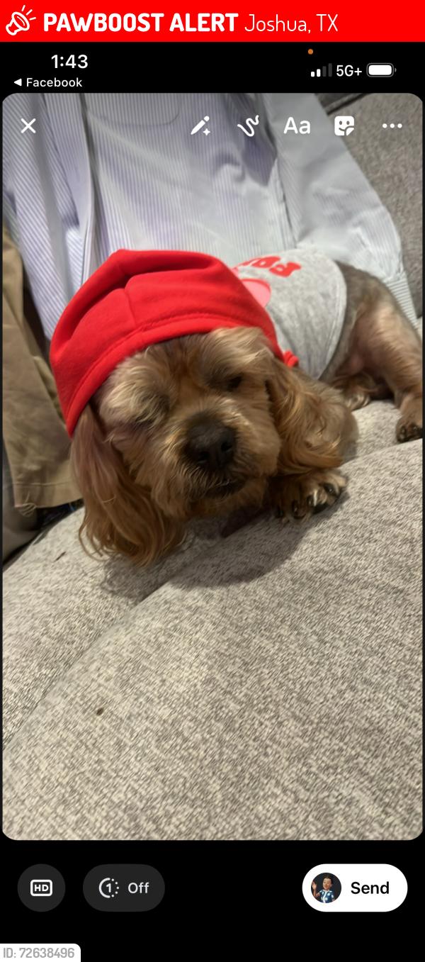 Lost Male Dog last seen Stadium way, Joshua, TX 76058
