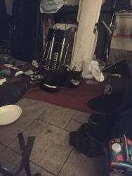Lost Male Cat last seen Interstate maxline, Portland, OR 97217