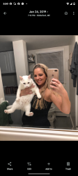 Lost Male Cat last seen Tallulah ln., Houston, TX 77077