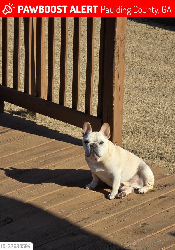 Lost Male Dog last seen Trailwood Gap, Dallas Nebo Road, Paulding County, GA 30134