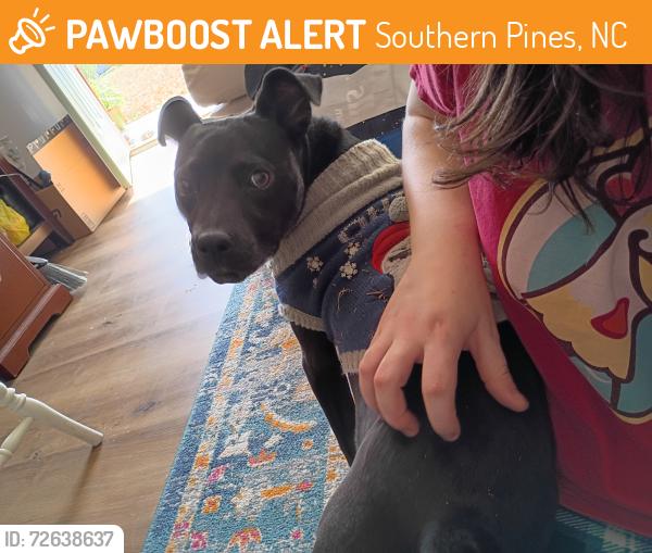 Found/Stray Female Dog last seen W Illinois Ave & Henley Streets, Southern Pines, NC 28387