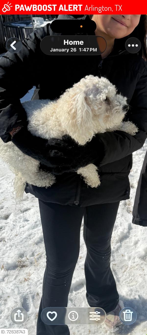 Lost Female Dog last seen Lake Arlington , Arlington, TX 76016