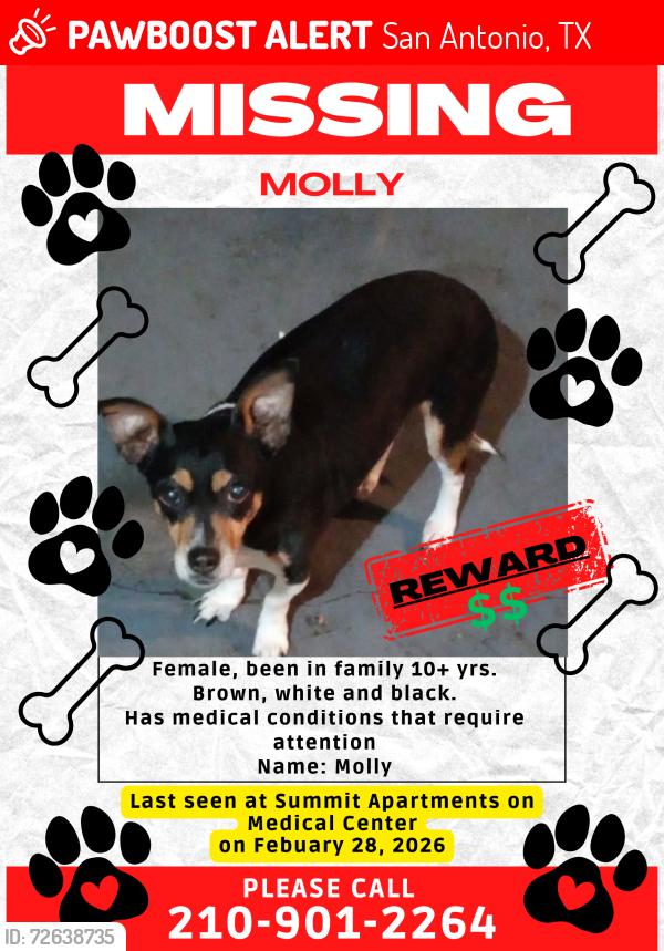 Lost Female Dog last seen Medical center & bluffdale dr, San Antonio, TX 78223