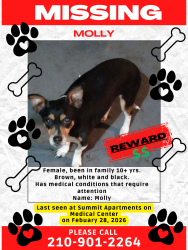 Lost Female Dog last seen Medical center & bluffdale dr, San Antonio, TX 78223