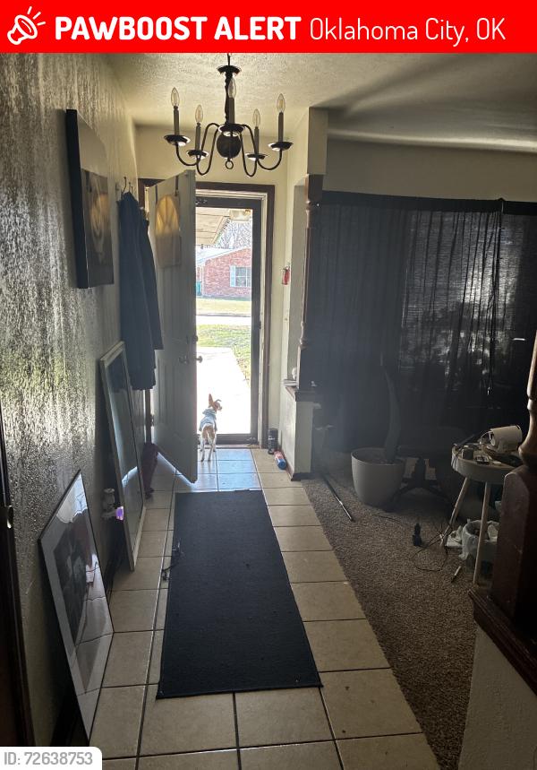 Lost Male Dog last seen Western and Hefner, Oklahoma City, OK 73114